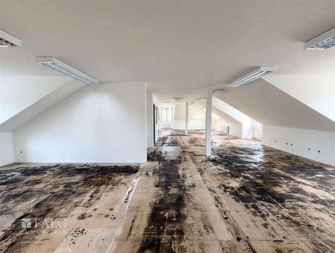 Ihr neuer Unternehmensstandort: 410 m² mit maximaler Flexibilität! – Dachgeschoss
