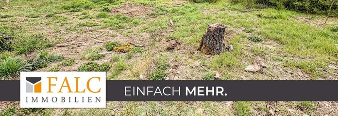Titelbild