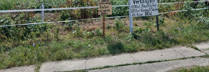 Baugrundstück auf der Insel Rügen