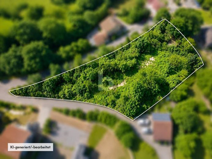 TRAUMSTÜCK IN DER FRÄNKISCHEN LANDSCHAFT – फोटो 1