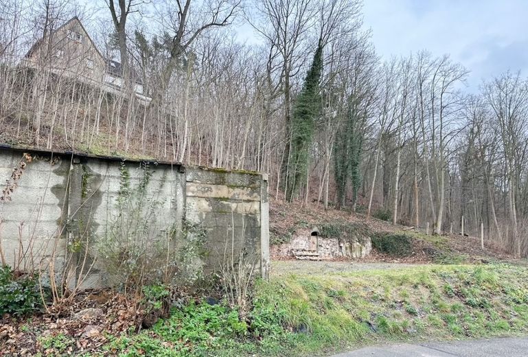 provisionsfreies innerstädtisches Baugrundstück mit 2364m² für Einfamilien- oder Doppelhaus und Waldanteil – 250113_GS_371_3_und_371_4_MG16_LS_Bilder_004