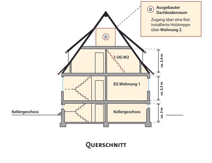 Querschnitt