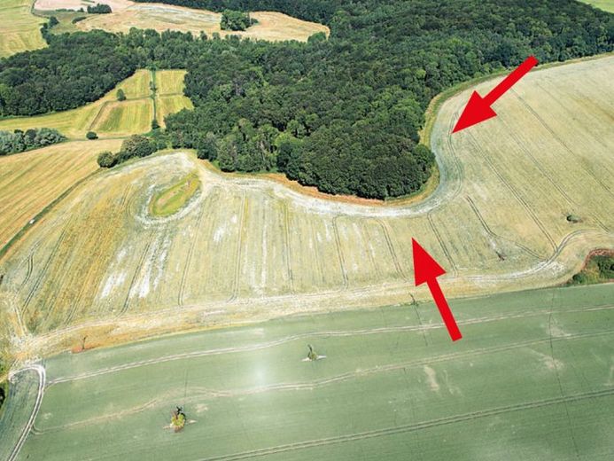Terrains à 23974 Neuburg OT Zarnekow – Foto 1