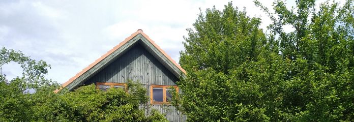 Südseite des Hauses mit Garten