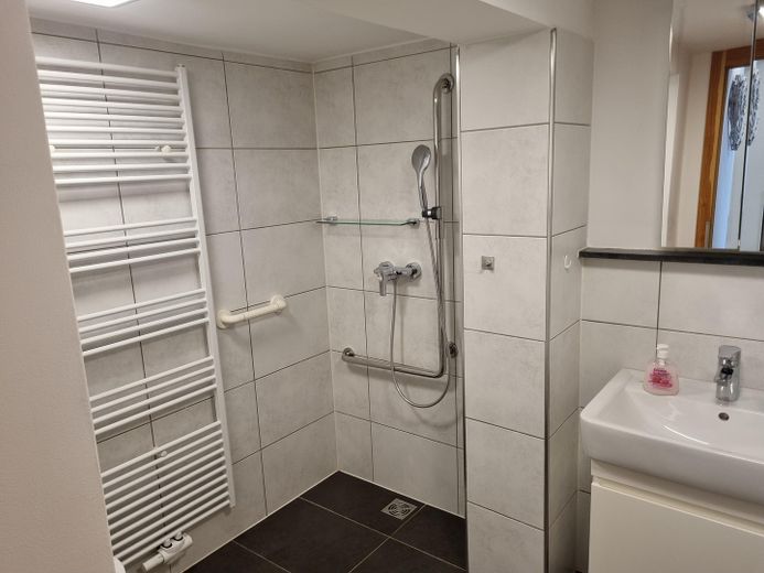 Mehrfamilienhaus, Pension, Lagerhalle, Magazin, Halle mit Rolltor – Bad Erdegeschoss 