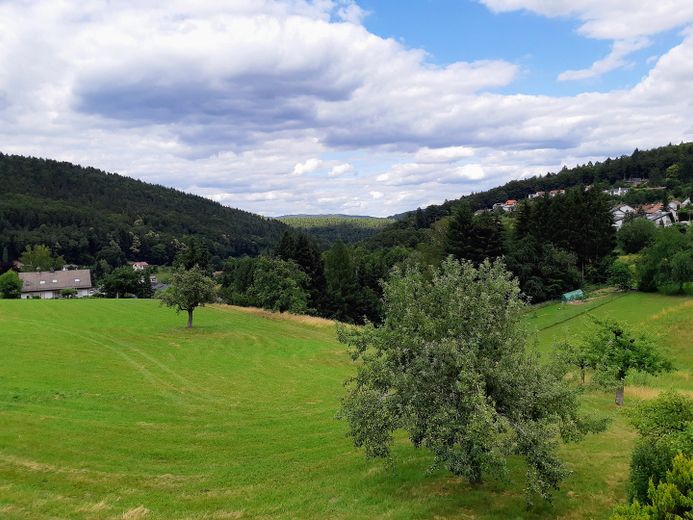 Kernsaniertes Einfamilienhaus mit Ausblick in ruhiger Lage – Aussicht