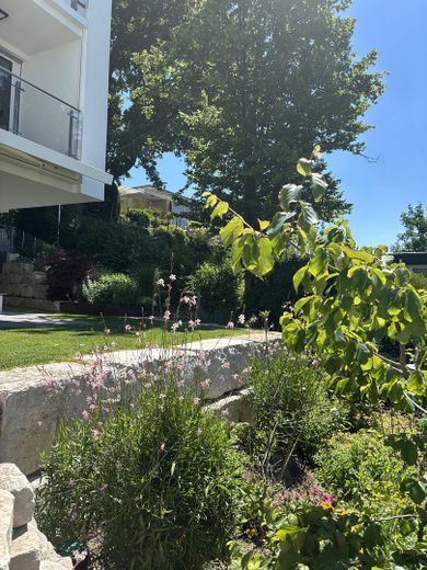 Garten1