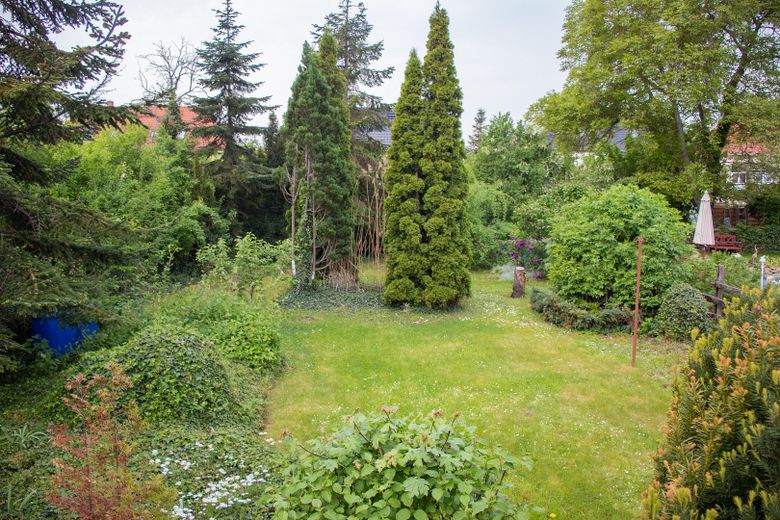 Blick in den Garten