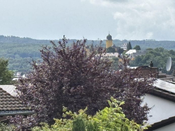 Aussicht vom Haus aus