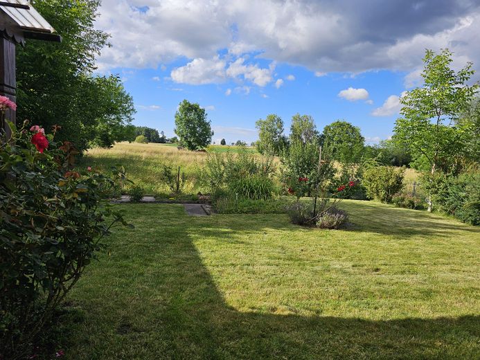Gartenblick neben Terasse