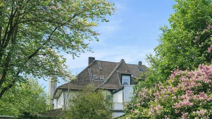 Blick aus dem Garten aufs Haus