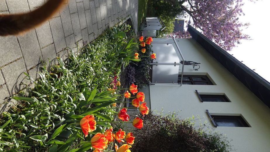 Großzügiges Familiendomizil in Zwönitz: Gepflegtes 6-Zimmer-Einfamilienhaus mit Kamin, Terrasse &amp; Keller – _DSC1860