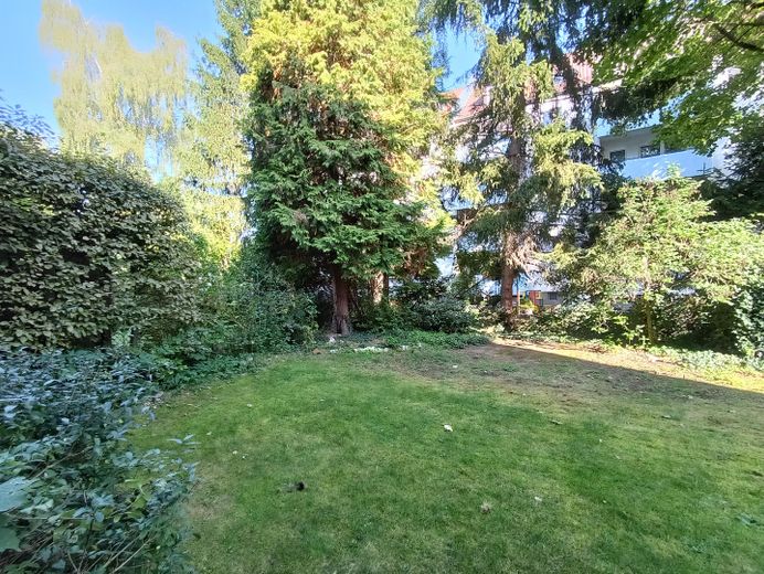 Garten (Sommer 2025)