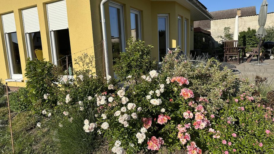 Blick vom Garten West
