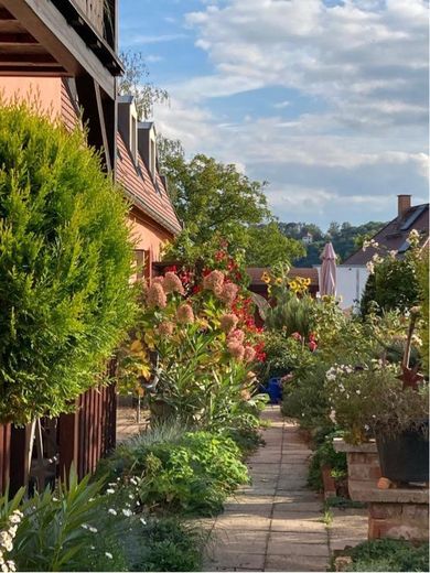 Straordinario appartamento di proprietà con vista sull’Elba nel panorama dei vigneti a Meißen – Garten