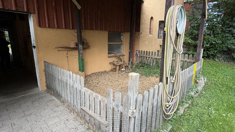 Resthof mit Nebengebäude und bebauugsfähigem Grundstück – Freilauf für Kleintiere
