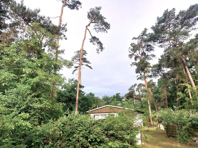 Eingang aus Richtung Seeufer 