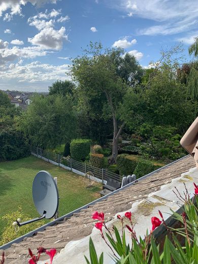 Blick ins Grüne vom Balkon