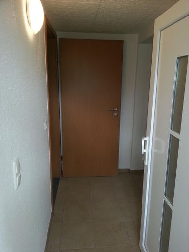 Mehrfamilienhaus provisionsfrei – 1 Einheit vermietet, 1 Einheit frei für Sie – WG 2: Eingangstür Keller