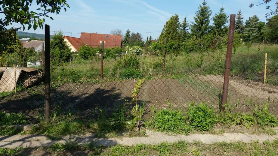 Reihenmittelhaus mit großem Garten – Foto 14