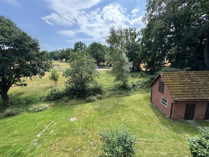 Blick in den Garten