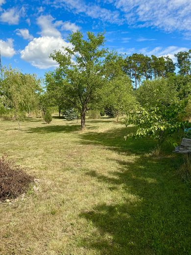 traumhaftes Bauland am Naturschutzgebiet – Foto 7