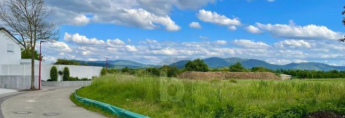 UNVERBAUTER SCHWARZWALD-BLICK