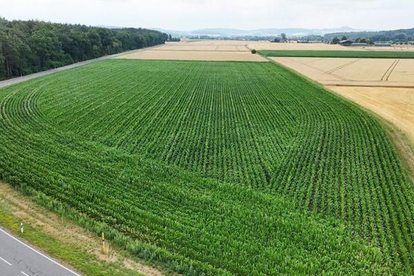 DIETZ: Ackerlandfläche direkt an einer Landstraße zu verkaufen zwischen Groß-Umstadt und Münster!