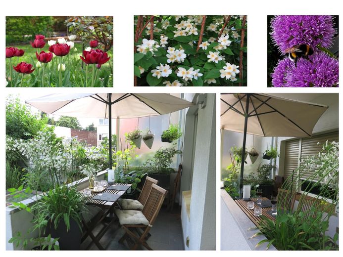 Grüne Wohlfühloase mit Südbalkon und wunderschönem Garten – Foto 4
