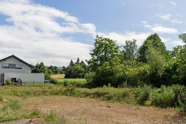 Nowe przestronne, atrakcyjne domy energooszczędne w najlepszej lokalizacji w Trier-Olewig, z dużą ilością zieleni