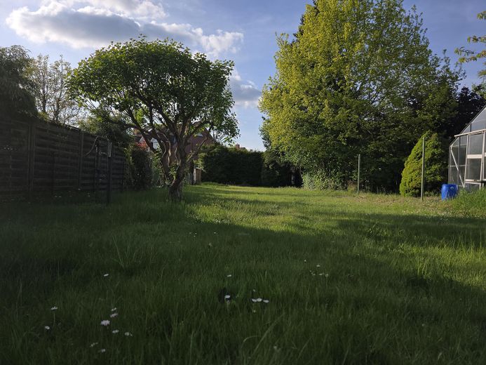 Großer Garten