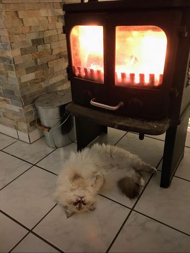 Kamin (Katze nicht inklusive)