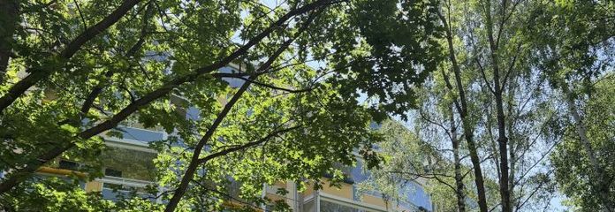 Echtes Schmuckstück. Helle Wohnung mit großem verglasten Balkon in ruhiger Lage.