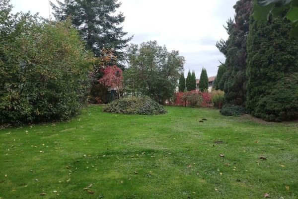 Terreno edificabile per casa unifamiliare in posizione verde a Grimma, frazione di Böhlen