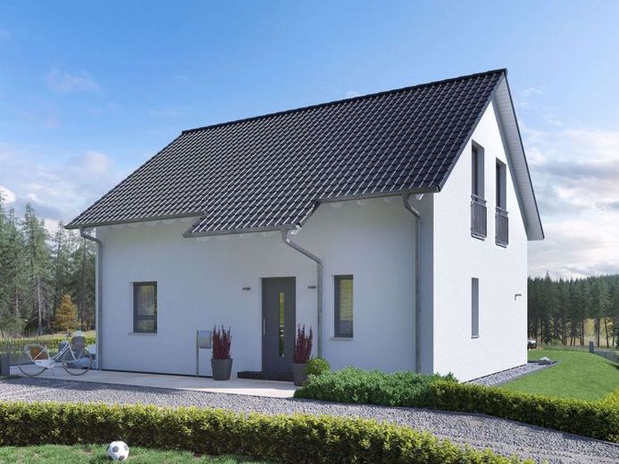 1050qm Land, 134qm Haus, 0 € Miete: fehlt noch was? – Foto 1