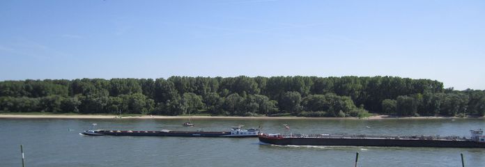 Rheinpanorama