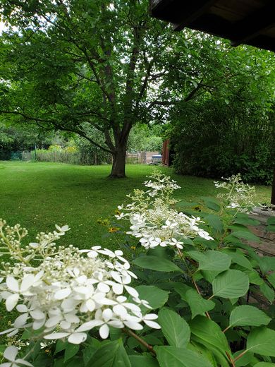 Charming country house with living basement, large garden, workshop, two verandas, hobby stable – Garten