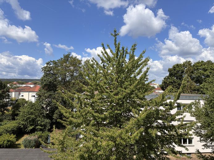 Vollsanierte Dachterrassen-Maisonette Wohnung in Regensburger Bestlage – Blick in den Grüngürtel 