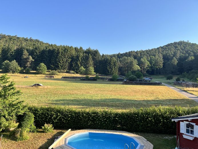 Blick in den Garten 