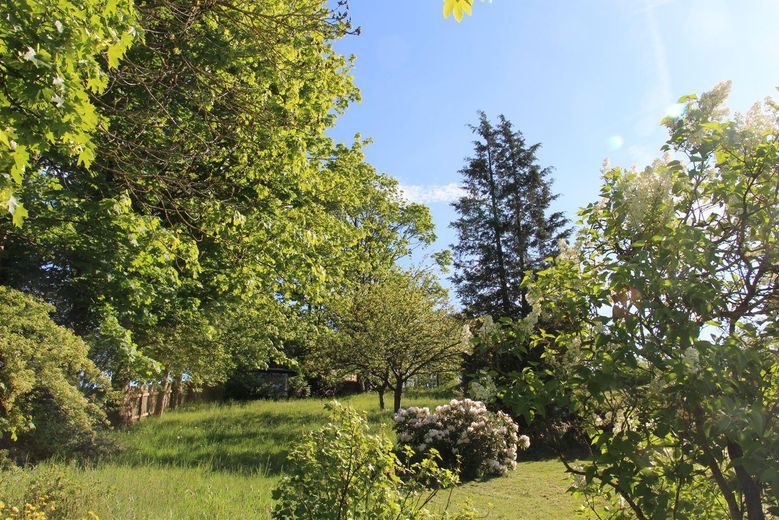 Idyllisch Wohnen - freier Blick ins Grüne und viel Raum für Gestaltung und Freizeit – Gartenansicht