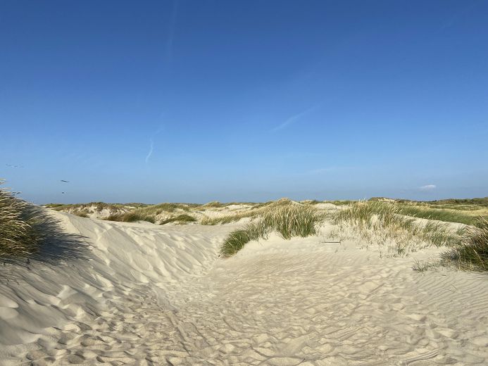 Dünen und Strand