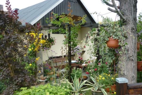 Tanto spazio in casa e in giardino!!!