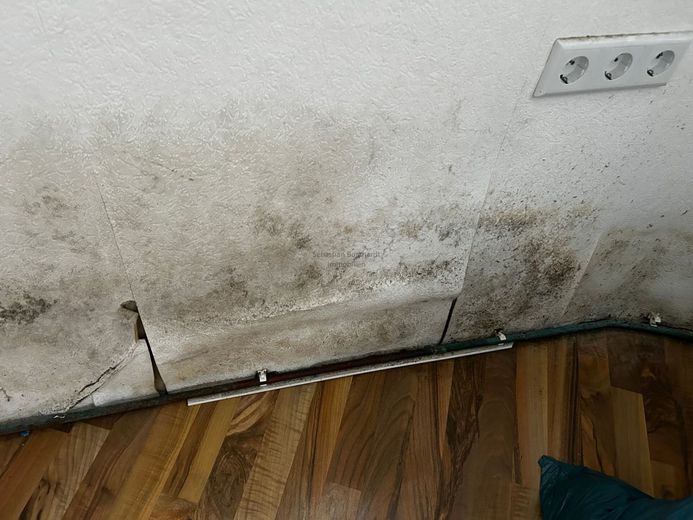 *** Schnell: Renovierungsbedürftige Haus sucht dringend Käufer! – Schimmel
