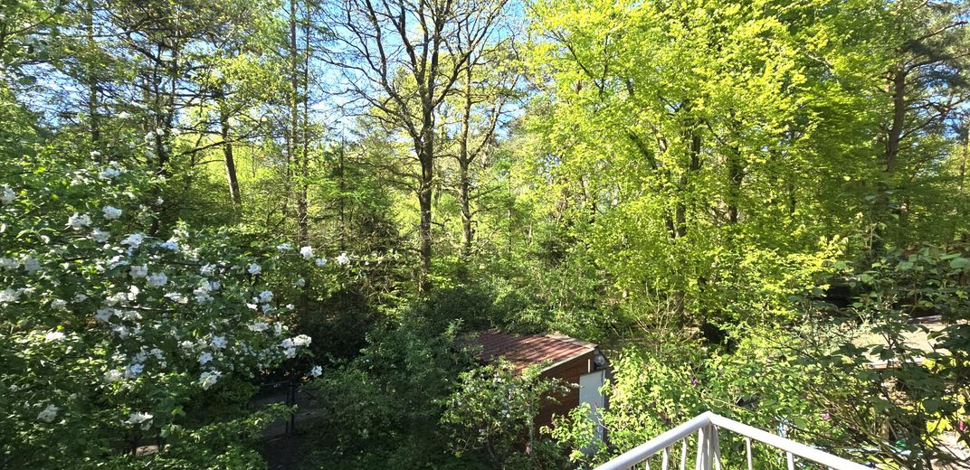# 3 HÄUSER AUF 5.300 QM² LAND, GROßFAMILIEN-OASE MIT PRAXIS-POTENZIAL,HAMBURGER SPECKGÜRTEL # – Ihr Balkonausblick :-))