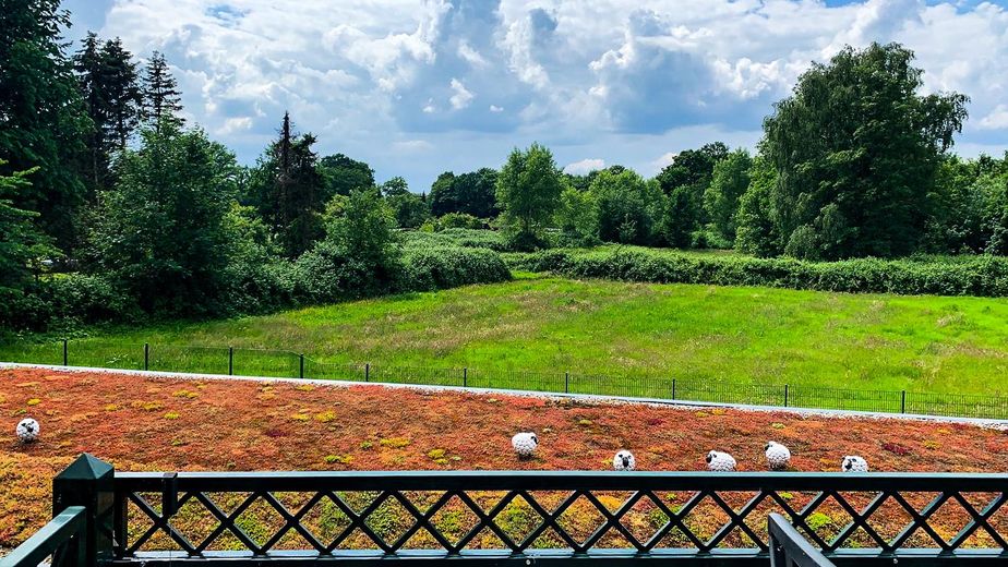 Grün für die Seele