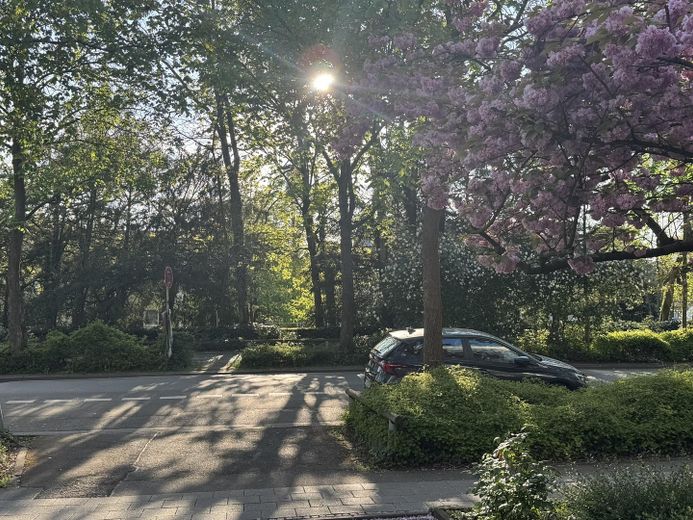 Attraktive DG-Wohnung -  Citylage im Grünen an Kuppelkirche, hohe Lebensqualität; von privat – Blick Fußgängerzone vor Haus