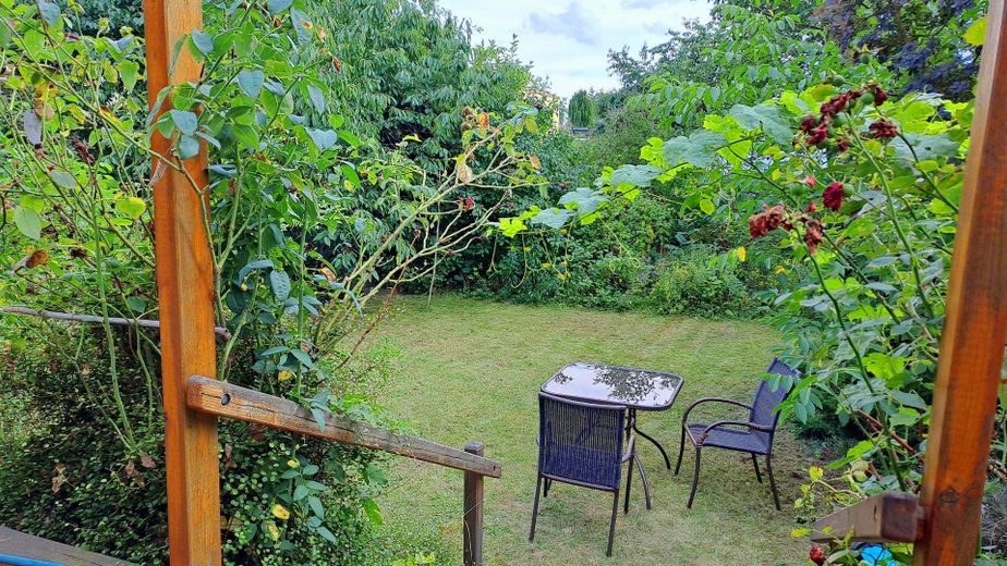 Provisionsfrei, EINFAMILIENHAUS MIT GARTEN in begehrter Wohngegend Dessau-Ziebigk – Blick in Garten