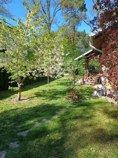 Garten links des Hauses