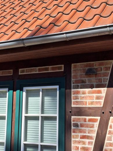 Douglasien-Fachw., verklinkert