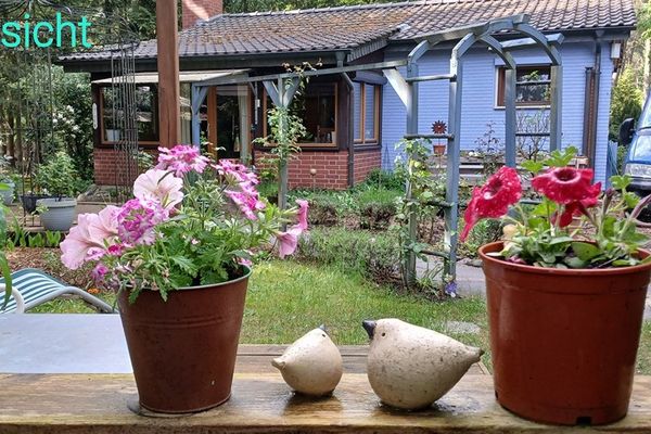 Casa nel bosco vicino a Bienenbüttel su terreno di proprietà